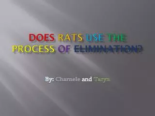 Does Rats use the process of elimination?