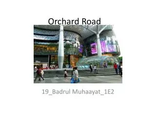 Orchard Road