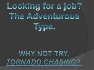 Looking for a job? The Adventurous Type.