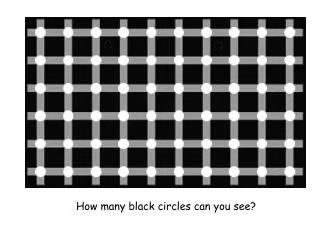 How many black circles can you see?