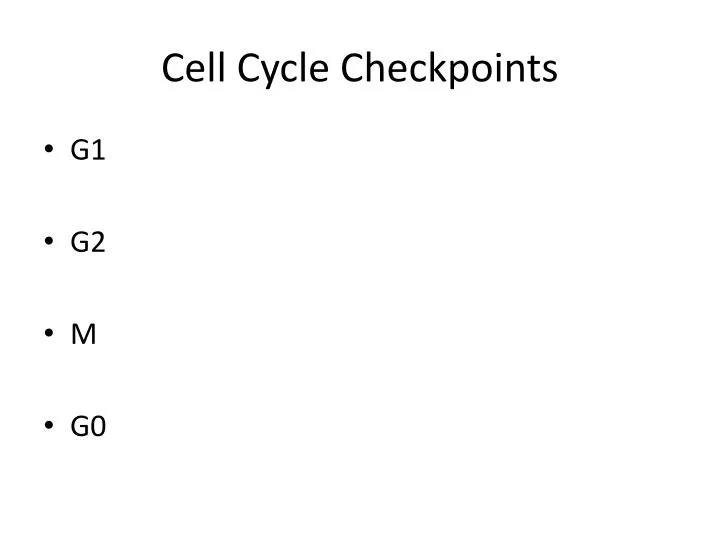 cell cycle checkpoints