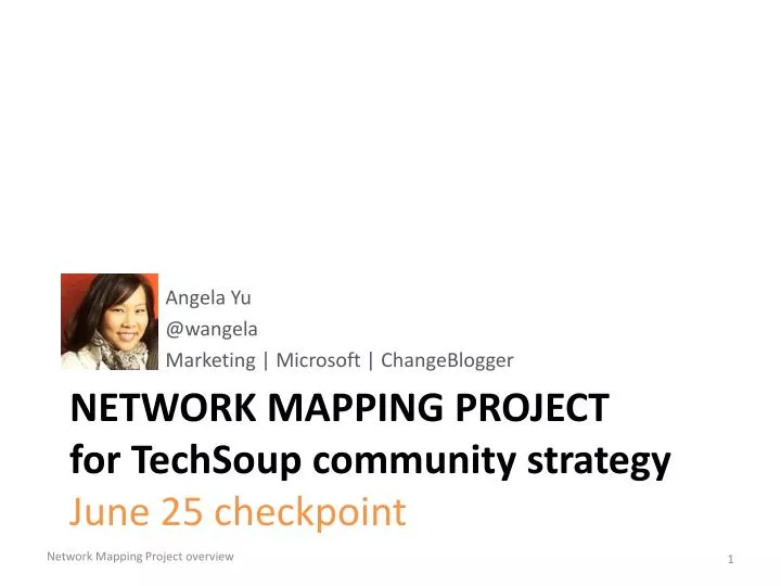 network mapping project f or techsoup community strategy june 25 checkpoint