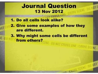 Do all cells look alike? Give some examples of how they are different.