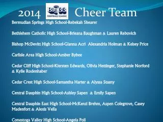2014 Cheer Team