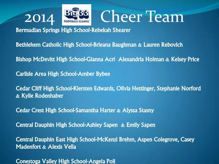 2014 cheer team