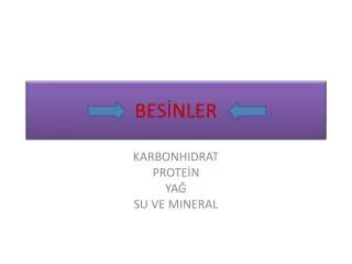 bes nler