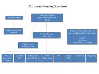 Corporate Nursing Structure