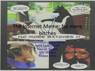 The Internet Meme: No more bitches