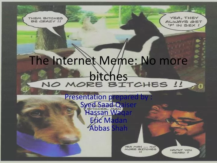 the internet meme no more bitches