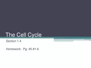 The Cell Cycle