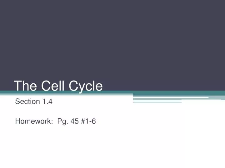 the cell cycle