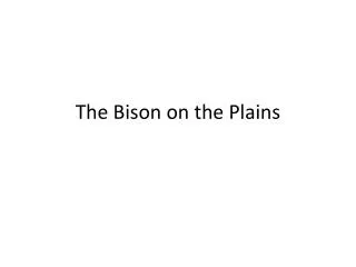 The Bison on the Plains