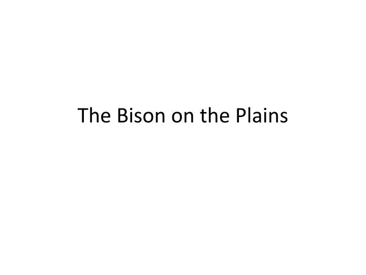 the bison on the plains