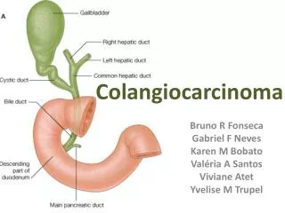 colangiocarcinoma