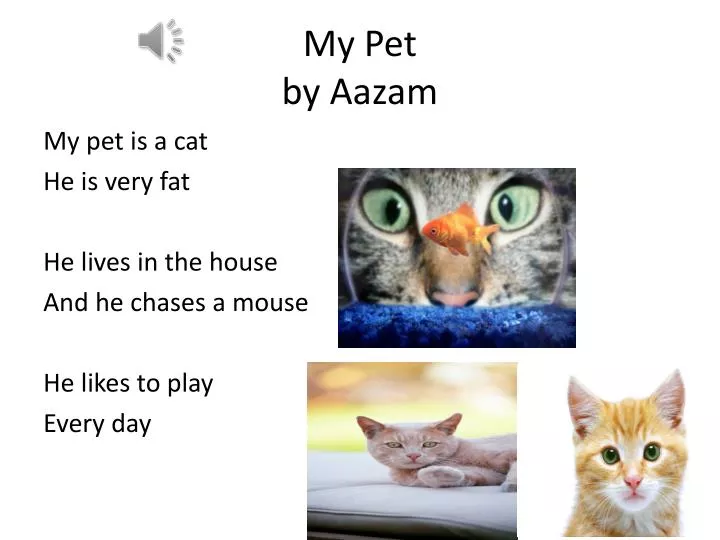 my pet by aazam