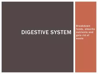 Digestive System