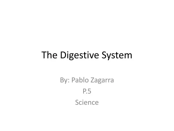 the digestive system