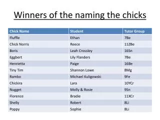 Winners of the naming the chicks