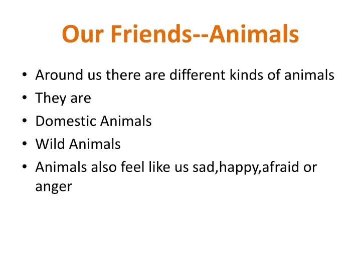our friends animals