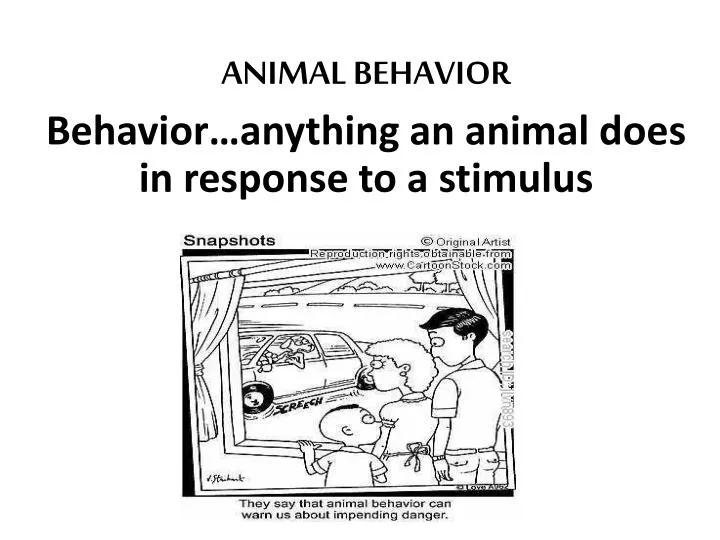 animal behavior behavior anything an animal does in response to a stimulus