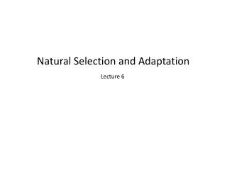 Natural Selection and Adaptation