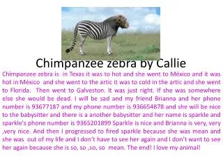 Chimpanzee zebra by Callie