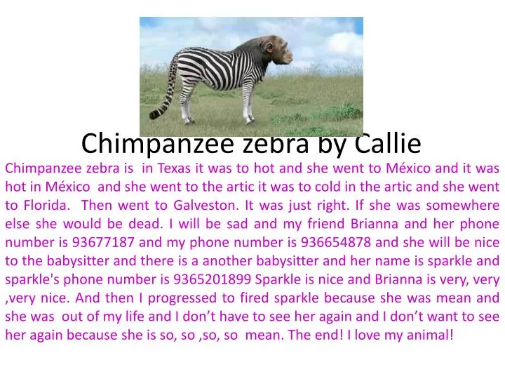 chimpanzee zebra by callie