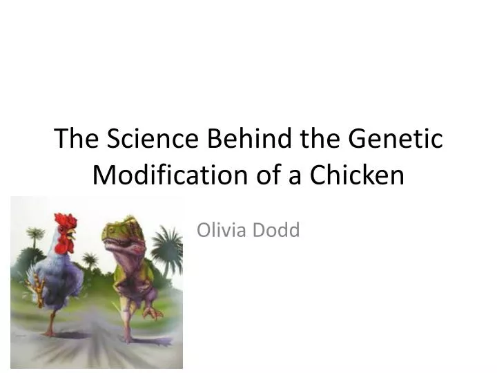 the science behind the genetic modification of a chicken