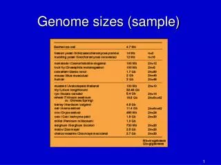 genome sizes sample