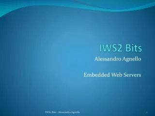 IWS2 Bits