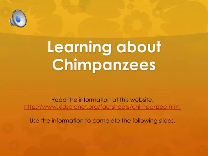 learning about chimpanzees