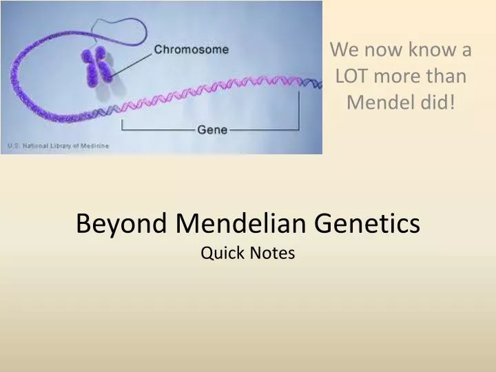 beyond mendelian genetics quick notes