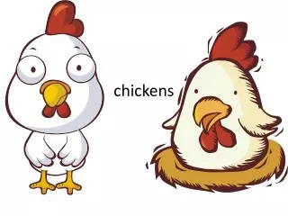 chickens