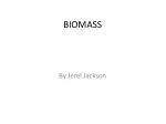 BIOMASS - slide 1