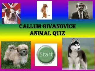 Callum givanovich animal quiz