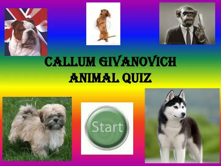 callum givanovich animal quiz