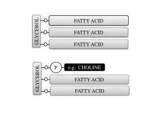 GLYCEROL