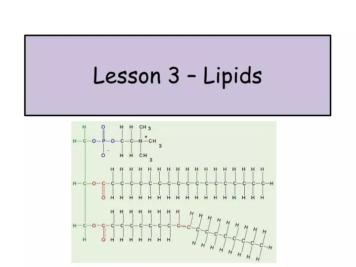 lesson 3 lipids