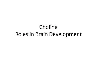 Choline Roles in Brain Development