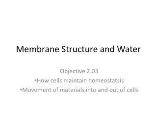 Membrane Structure and Water