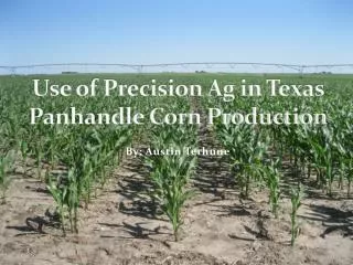 Use of Precision Ag in Texas Panhandle Corn Production