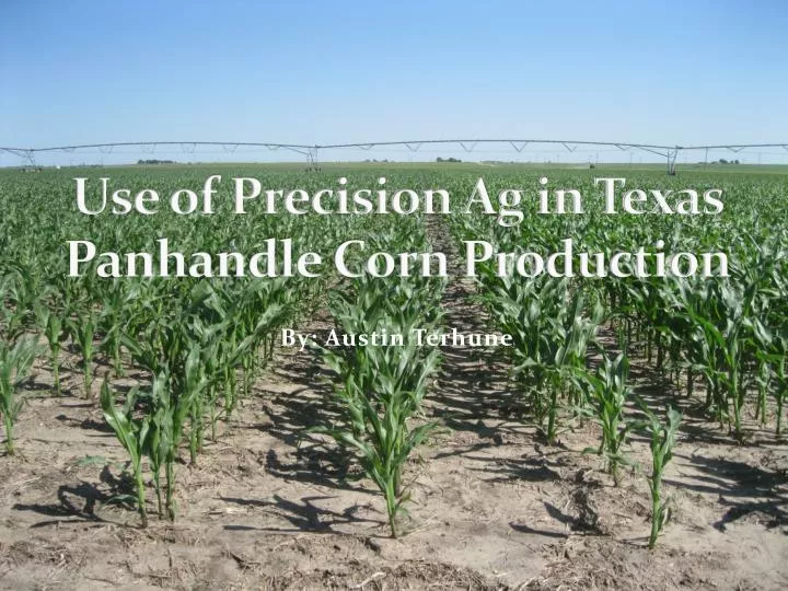 use of precision ag in texas panhandle corn production