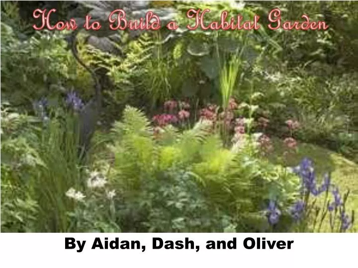 how to build a habitat garden