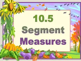 10.5 Segment Measures