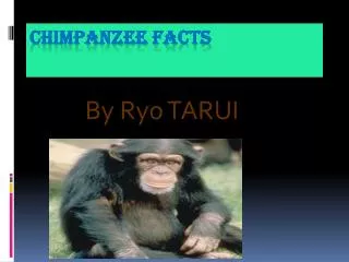 Chimpanzee facts