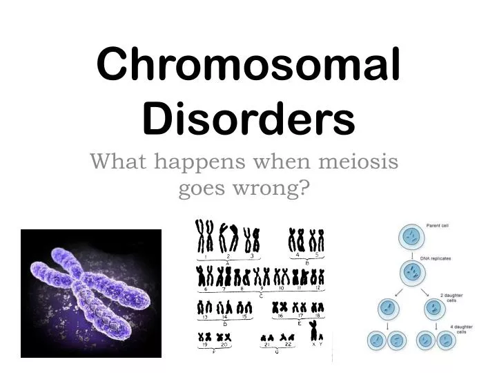 Ppt Chromosomal Disorders Powerpoint Presentation Free Download Id