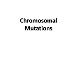 chromosomal mutations