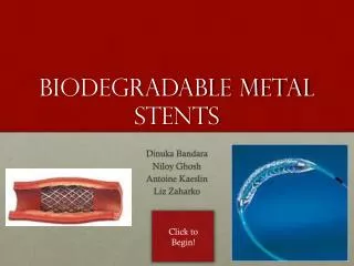 BIODEGRADABLE METAL STENTS