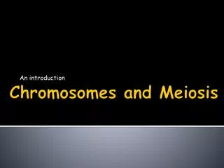 Chromosomes and Meiosis