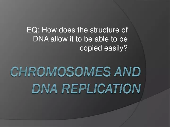 eq how does the structure of dna allow it to be able to be copied easily